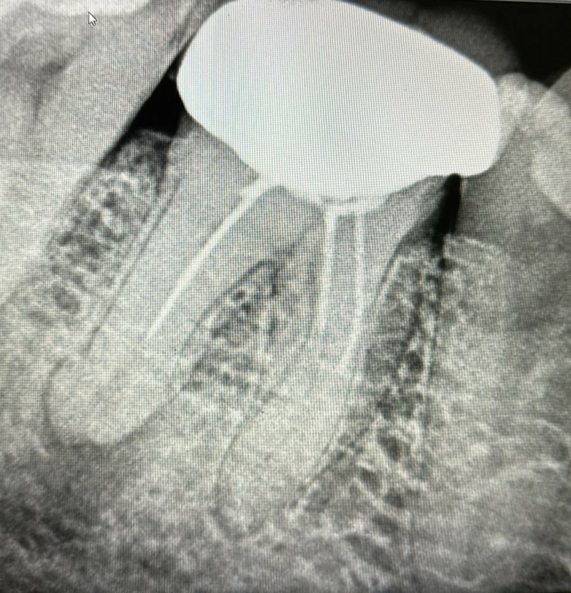 Phadke's Vitality Dental Clinic|Karve Nagar,Pune